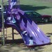 Spartanburg Play Day 2010 (25).jpg